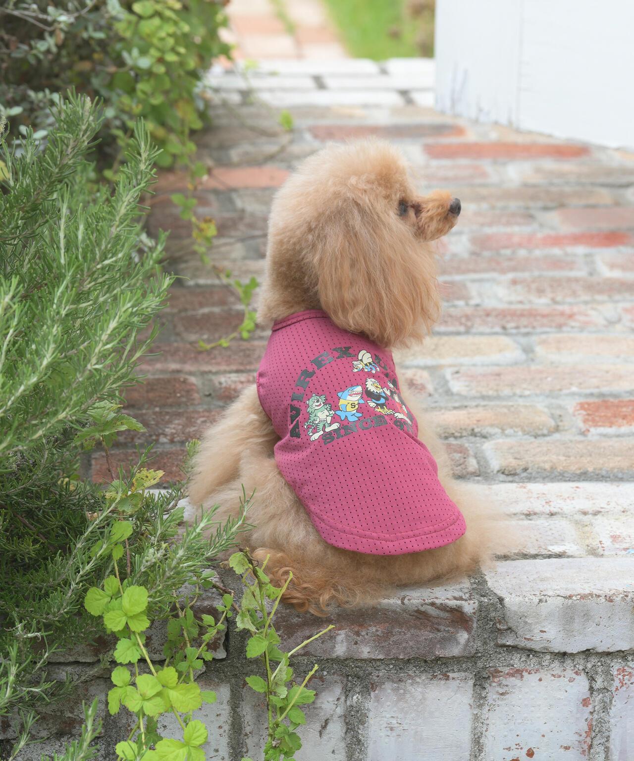 《DOG WEAR》 水洗做舊 背心