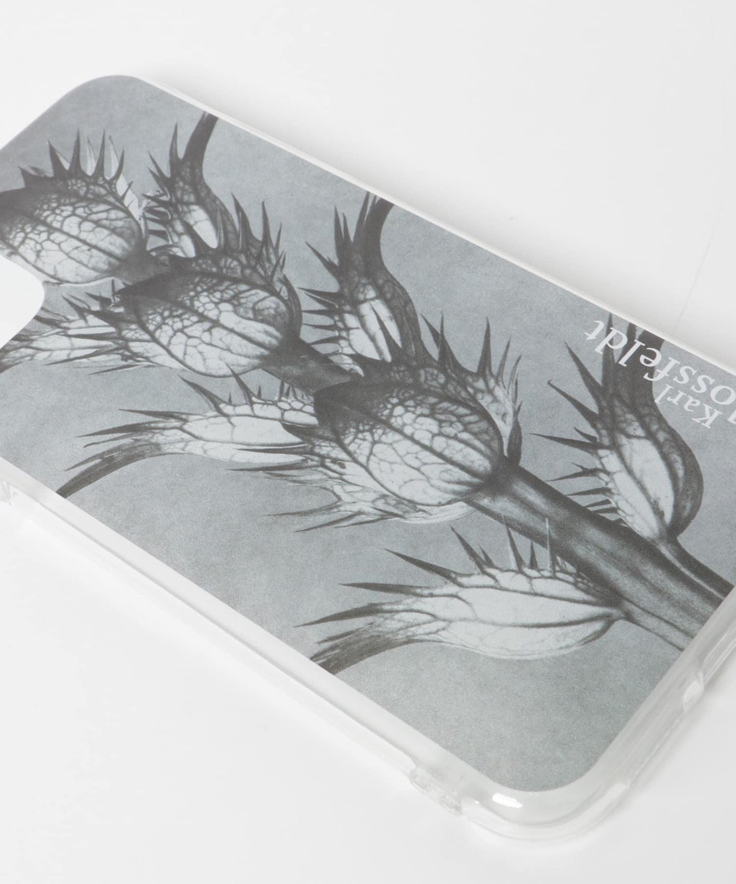 Karl Blossfeldt iphone11/XR