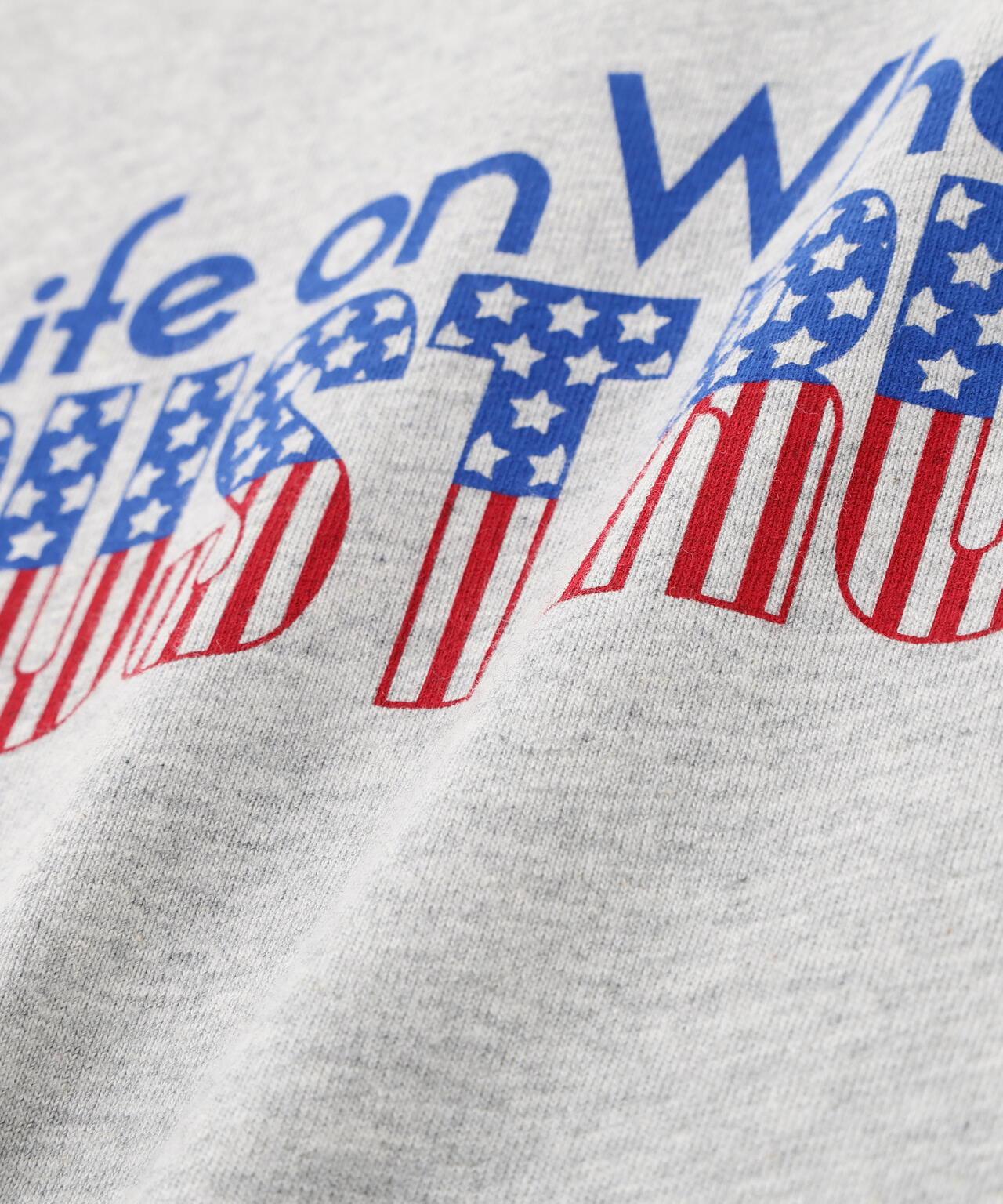 TRUST RUST RINGER T-SHIRT 撞色領T恤