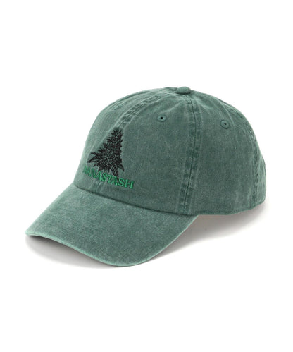 MANASTASH マナスタッシュ TGP CAP 棒球帽
