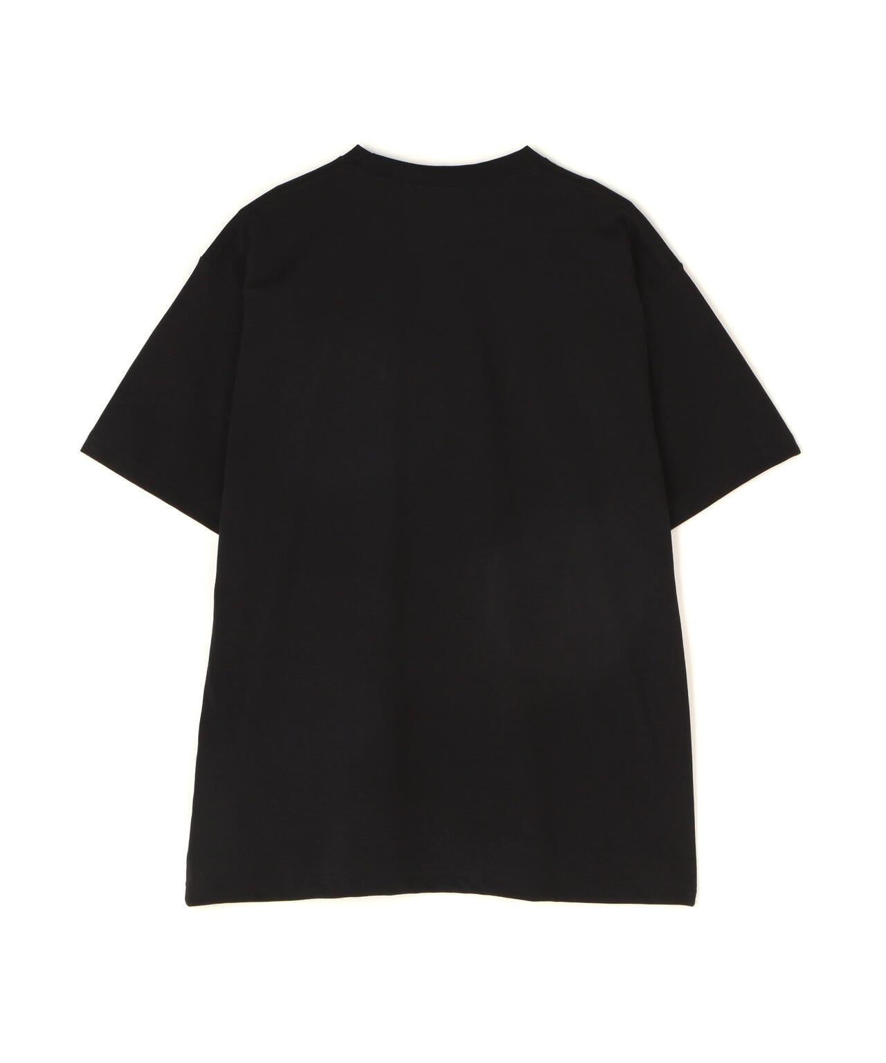 THE NORTH FACE S/S Small Box Logo Tee T恤