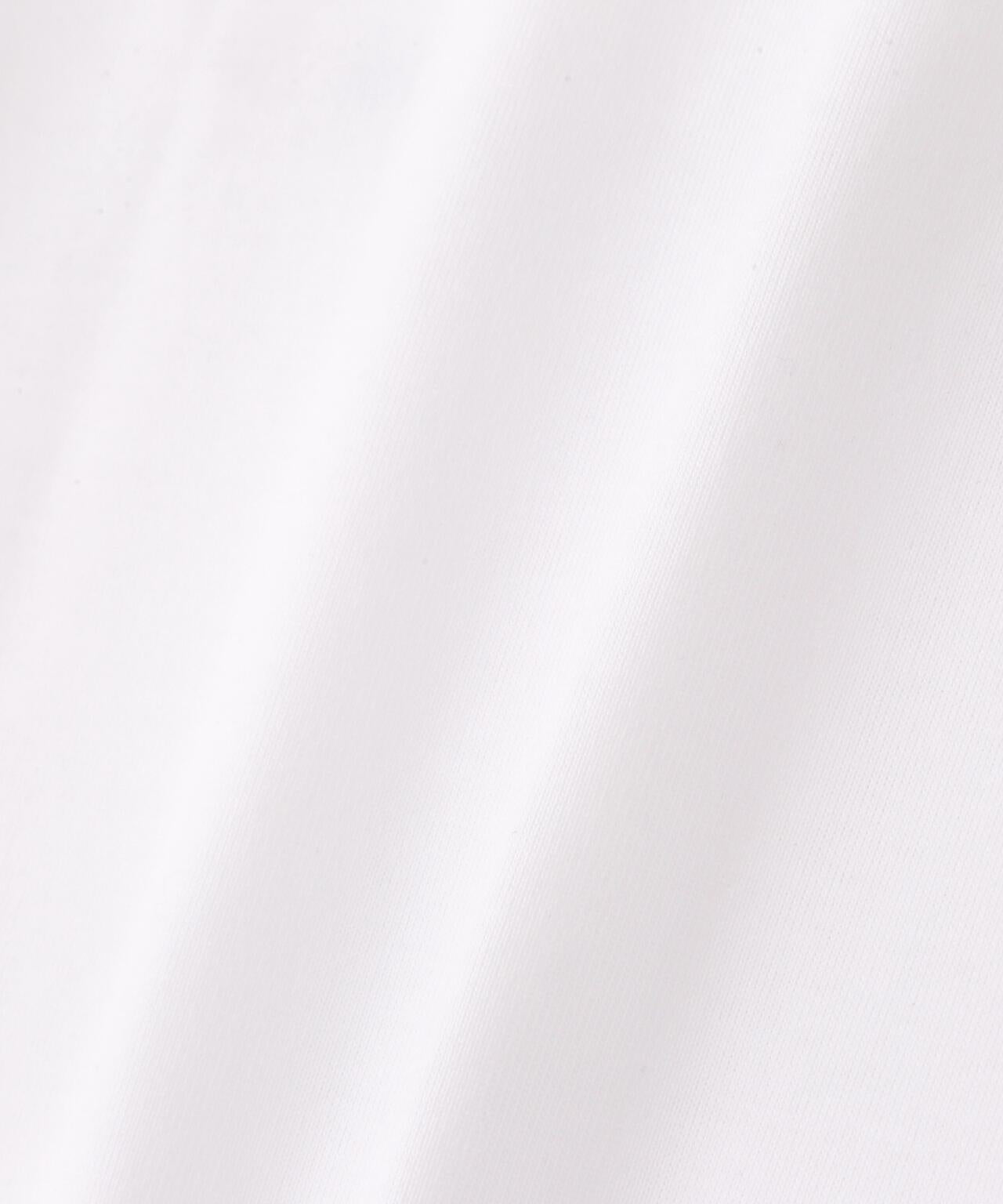 THE NORTH FACE S/S Small Box Logo Tee T恤