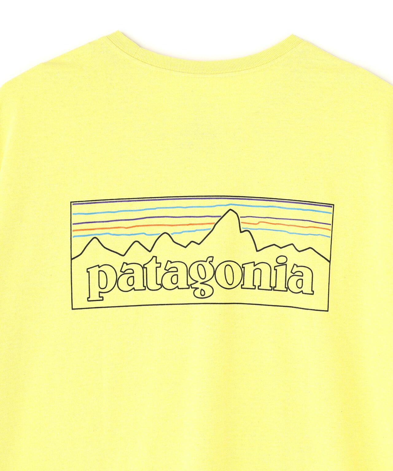 Patagonia メンズ P-6ロゴ Responsibili-Tee 棉質T恤 38504