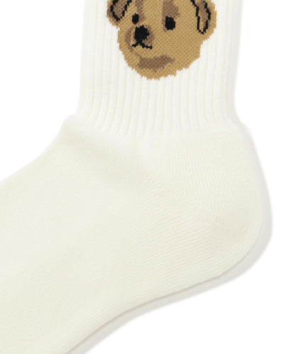 ROSTER SOX TEAM BEAR SOCKS 男女款 襪子
