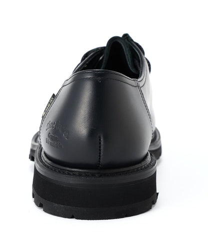 REGAL Shoe&Co. Tyrolean GORE-TEX 鞋款