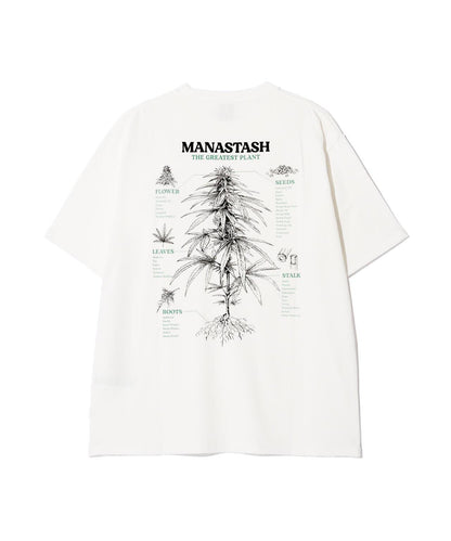 MANASTASH HEMP TEE TGP T恤