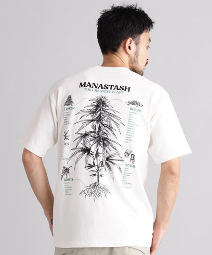 MANASTASH HEMP TEE TGP T恤