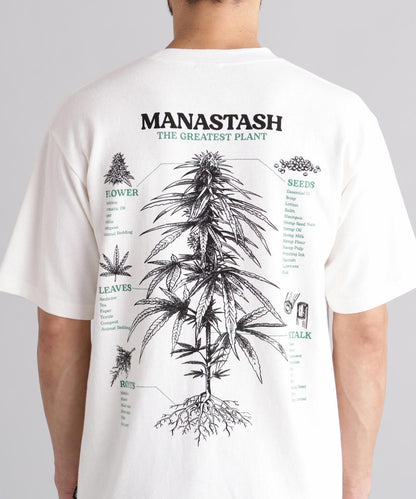 MANASTASH HEMP TEE TGP T恤