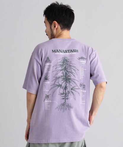 MANASTASH HEMP TEE TGP T恤