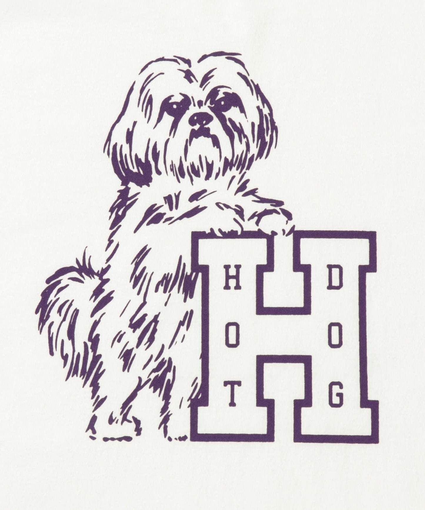 TACOMA FUJI RECORDS HOT DOG VNTG LOGO印花 T恤
