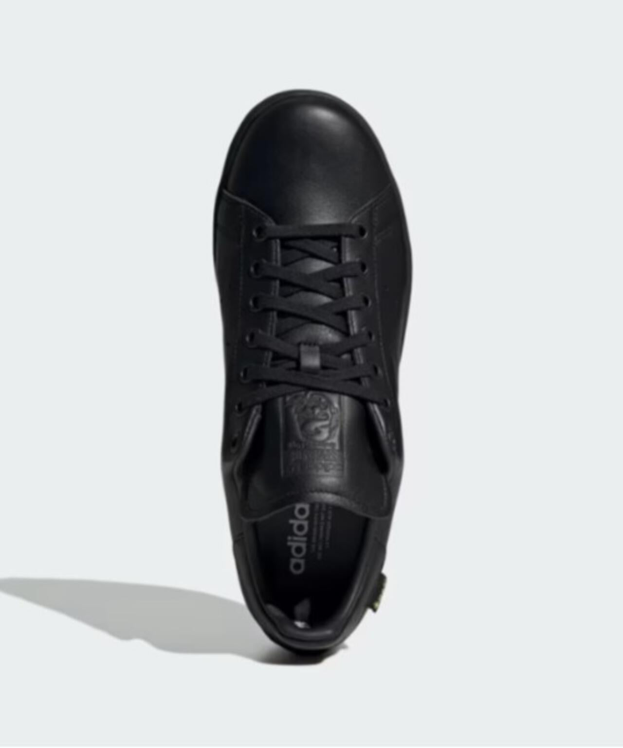 adidas Originals Stan Smith GORE-TEX
