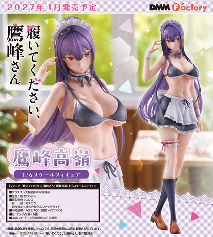 履いてください、鷹峰さん（請穿上吧，鷹峰同學） 鷹峰高嶺 1/6比例手辦