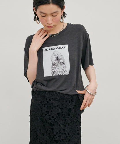 動物寫真印花 Tee T恤
