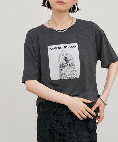 動物寫真印花 Tee T恤