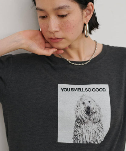 動物寫真印花 Tee T恤