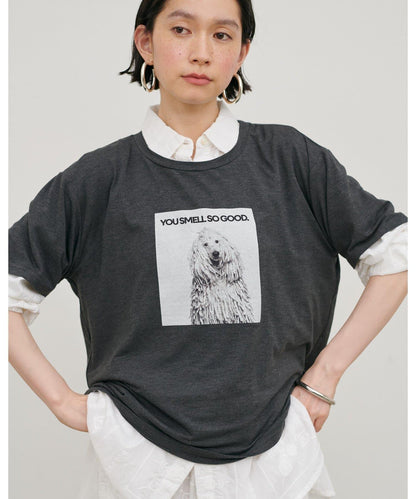 動物寫真印花 Tee T恤
