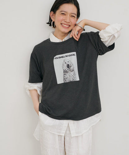 動物寫真印花 Tee T恤