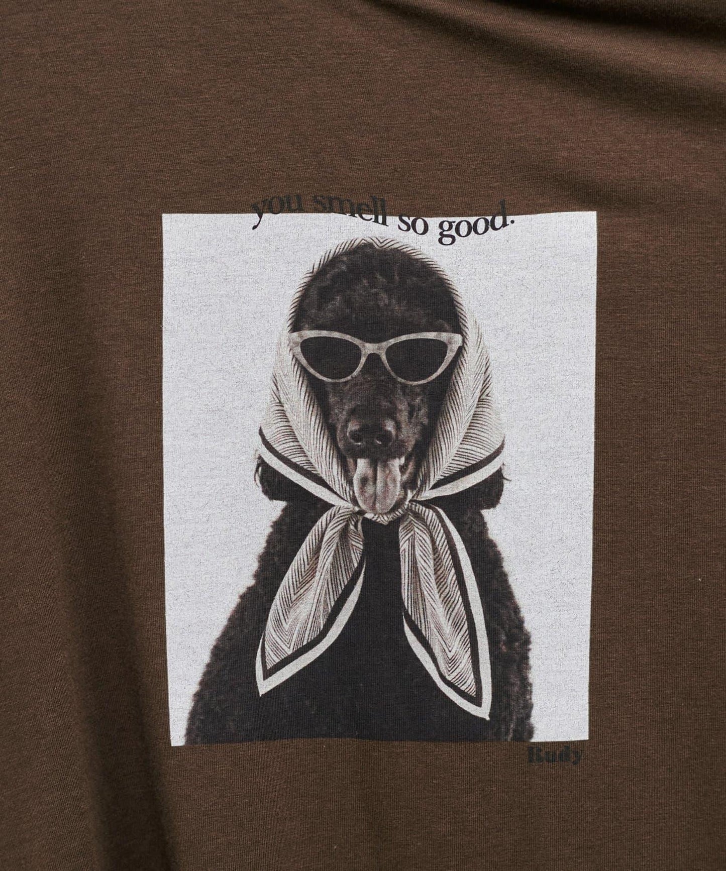 動物寫真印花 Tee T恤