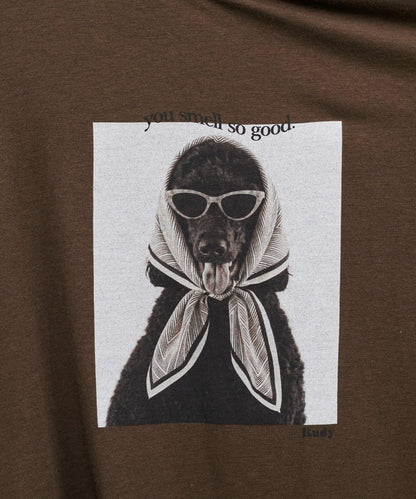 動物寫真印花 Tee T恤