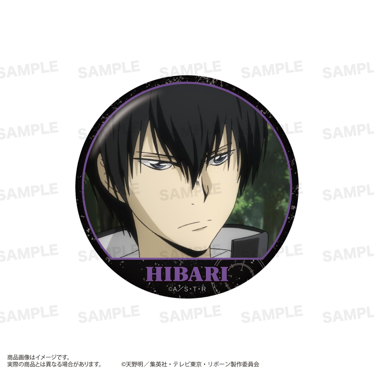《家庭教師HITMAN REBORN!》（家庭教師HITMAN REBORN!） 場景徽章 完整套裝盒 10個裝