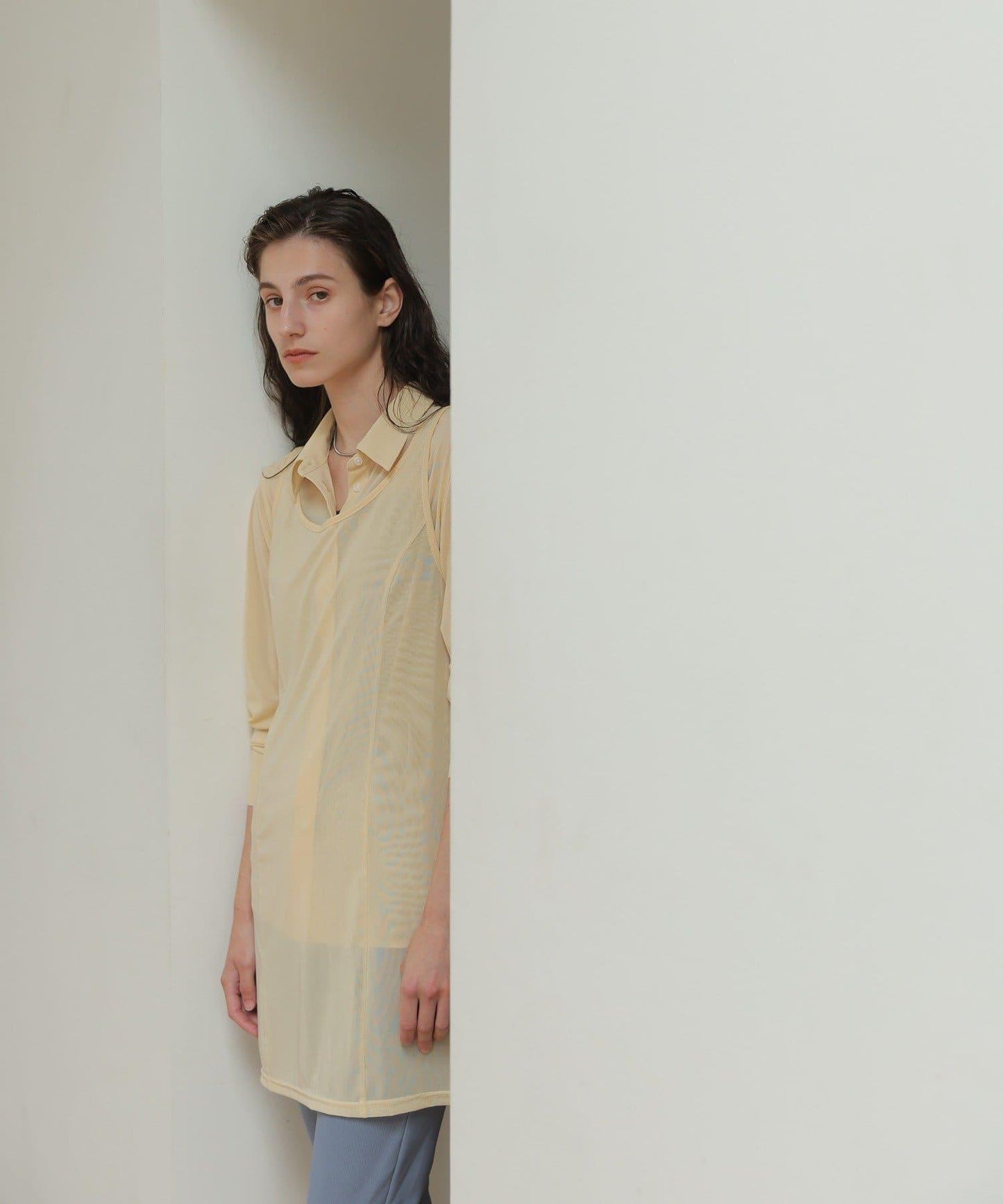 紗質透感連衣裙 CINAMOD TULLE SHEER ONE-PIECE