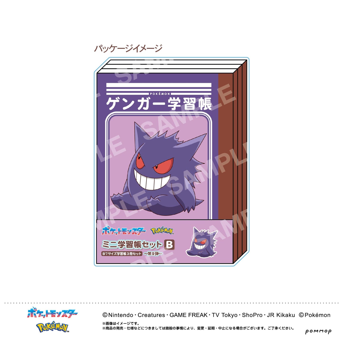 ポケットモンスター_ミニ学習帳セット 第9弾 B