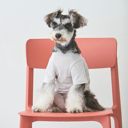 【リンク】【DOG】乗り物アップリケTシャツ