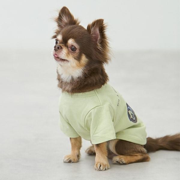 【リンク】【DOG】乗り物アップリケTシャツ