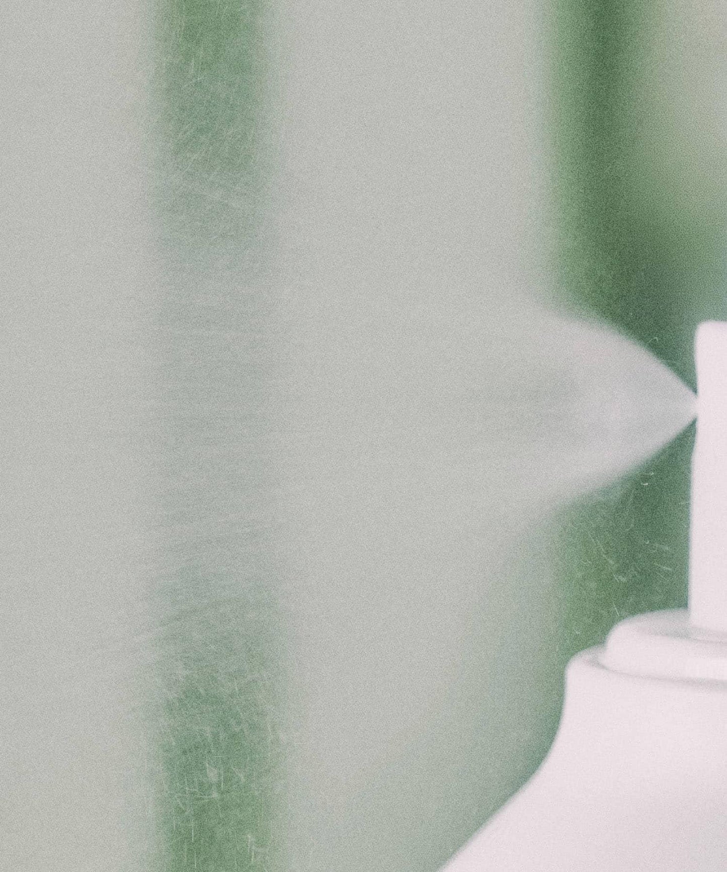 mirari forest light essential mist