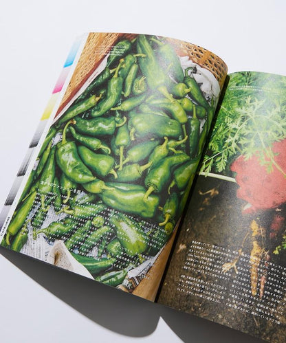 ZINE6