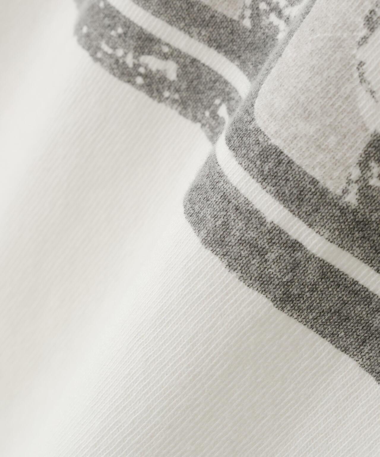 REMI RELIEF /  別注20/-天竺BIGサイズTシャツ(A HARD CAT'S)