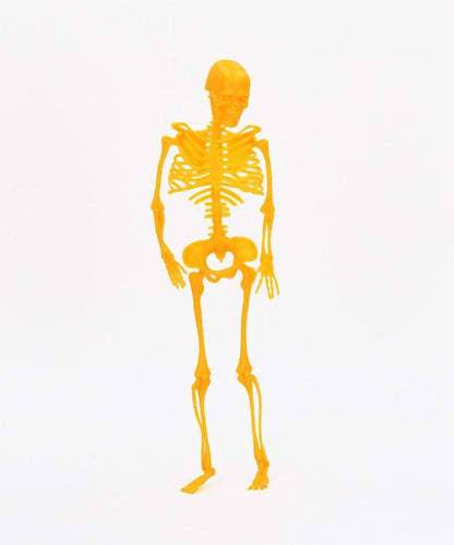 NEON SKELETONS 骨骼人偶