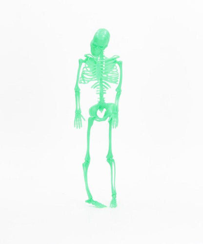 NEON SKELETONS 骨骼人偶
