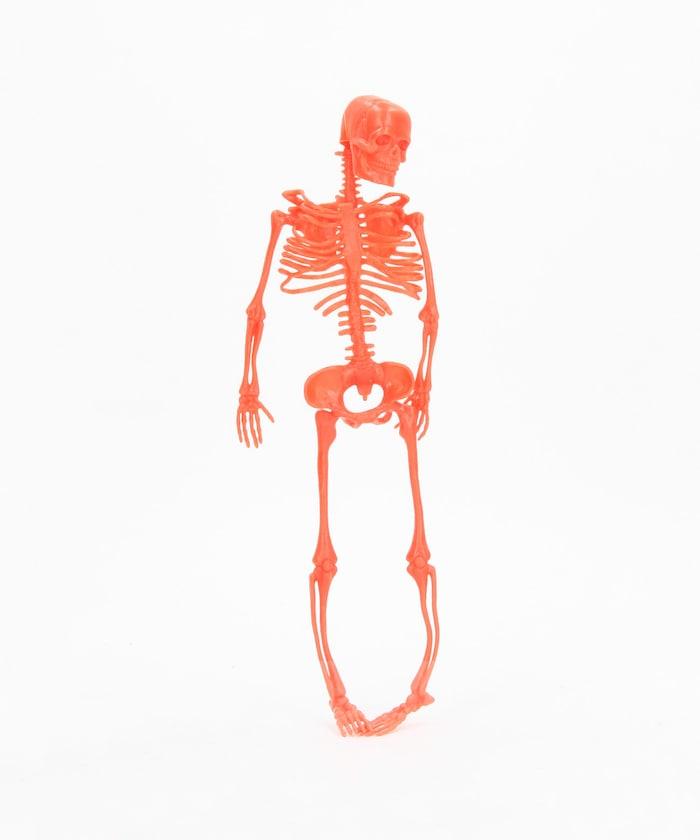 NEON SKELETONS 骨骼人偶