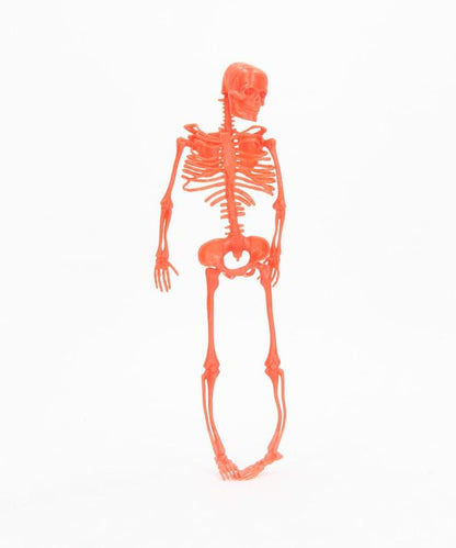 NEON SKELETONS 骨骼人偶