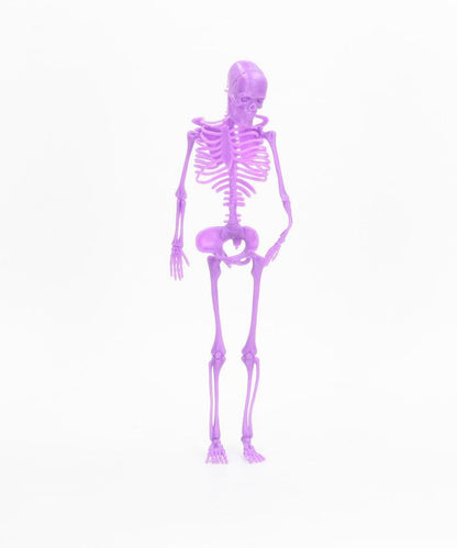 NEON SKELETONS 骨骼人偶