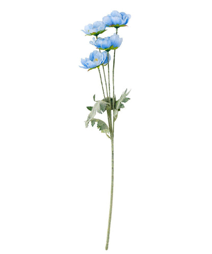 藝術花卉罌粟花卉生活