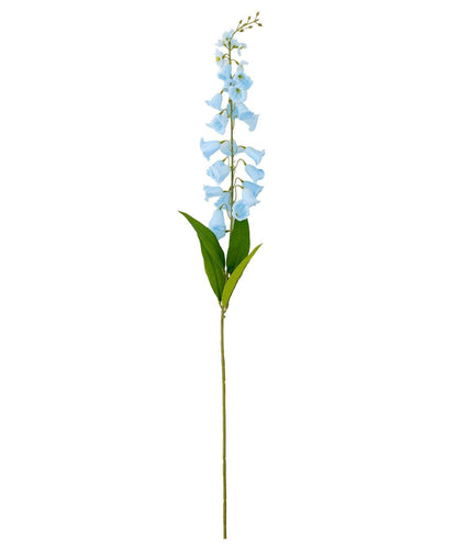 藝術花卉風鈴草 花之生活