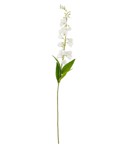 藝術花卉風鈴草 花之生活