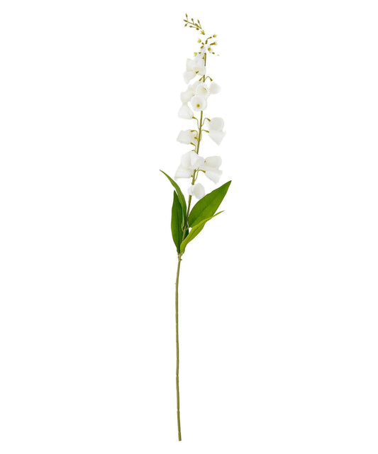 藝術花卉風鈴草 花之生活