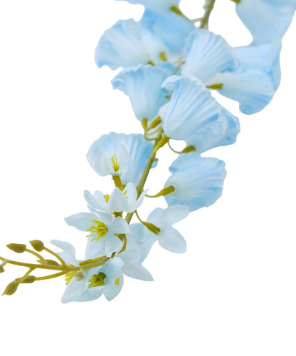 藝術花卉風鈴草 花之生活