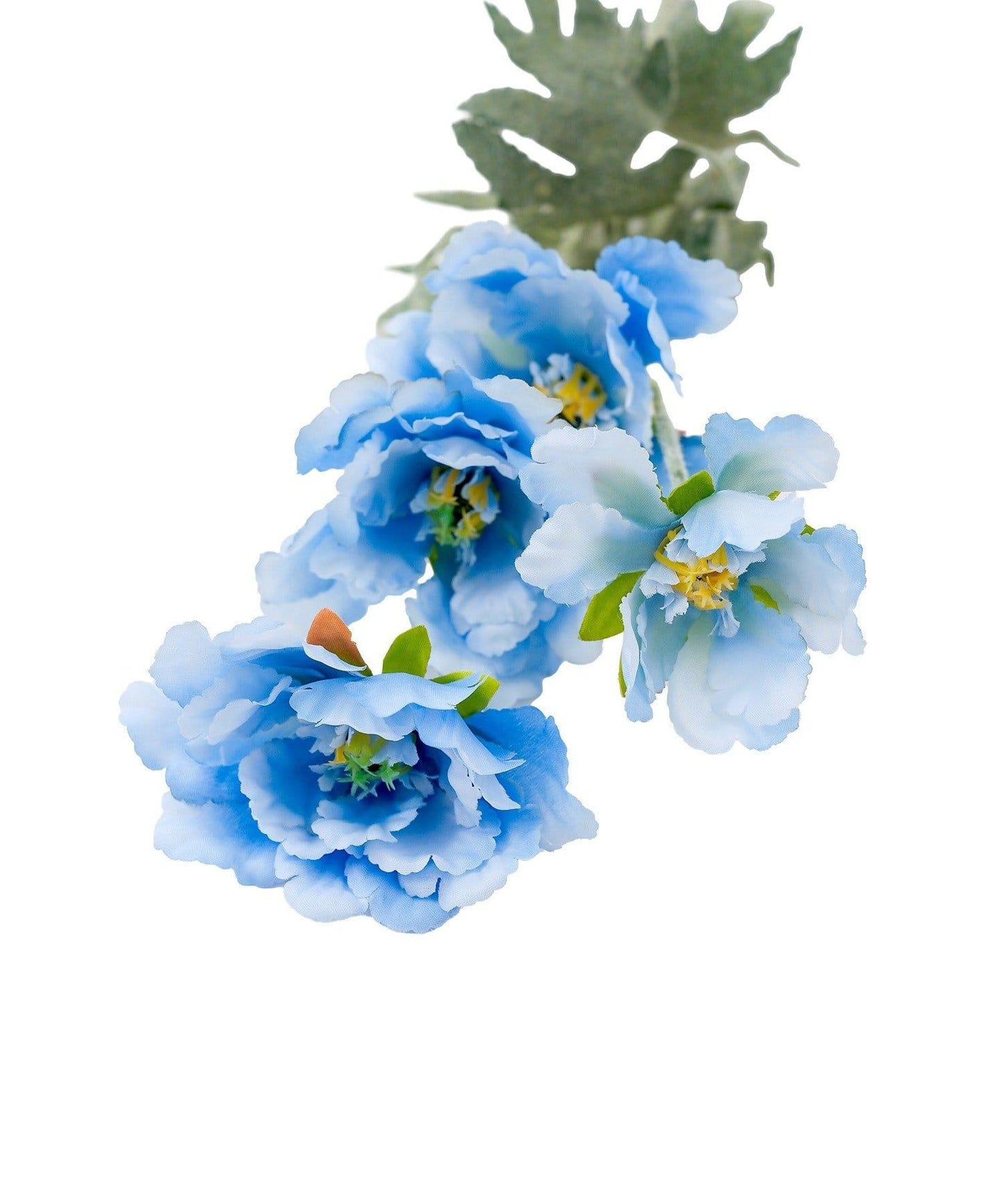 藝術花卉罌粟花卉生活