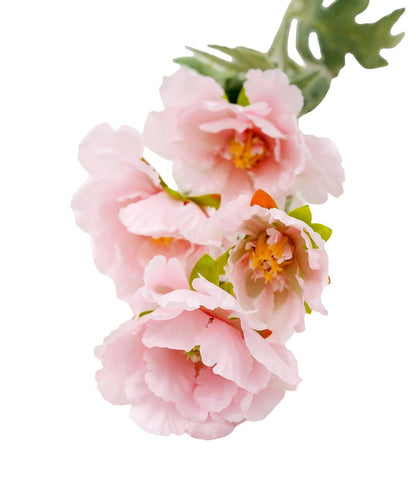 藝術花卉罌粟花卉生活