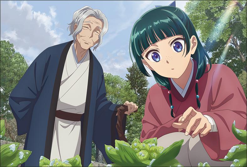薬屋のひとりごと_ポストカードセット（椿、ふきのとう、ハクモクレン）