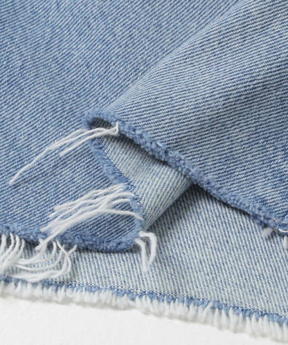 CITIZENS of HUMANITY AYLA SHORTS 休閒短褲