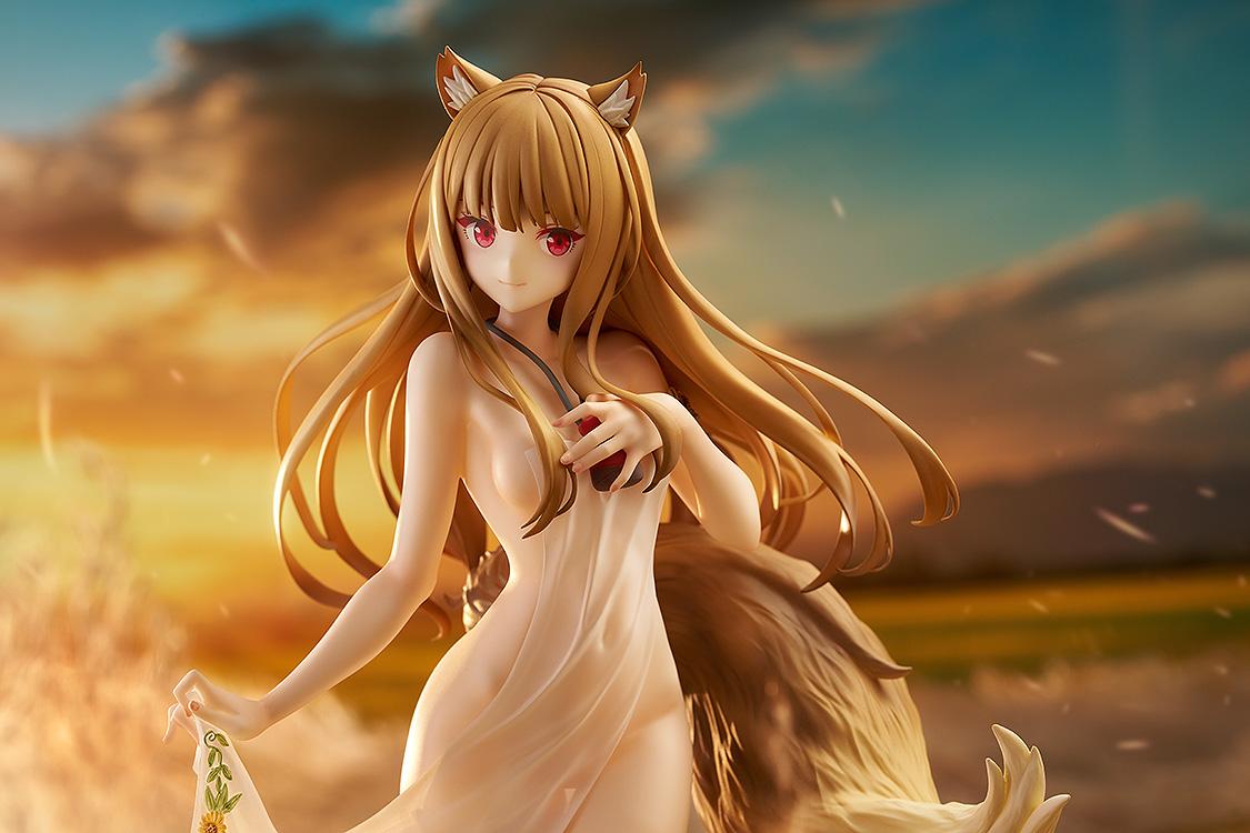 狼と香辛料 MERCHANT MEETS THE WISE WOLF 赫蘿 feat. saitom