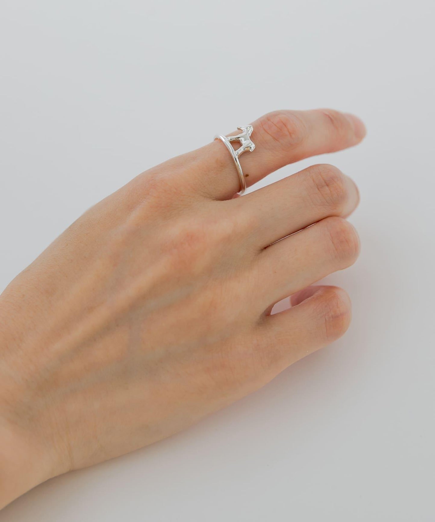 SYMPATHY OF SOUL STYLE LITTLE HORSE WALK RING