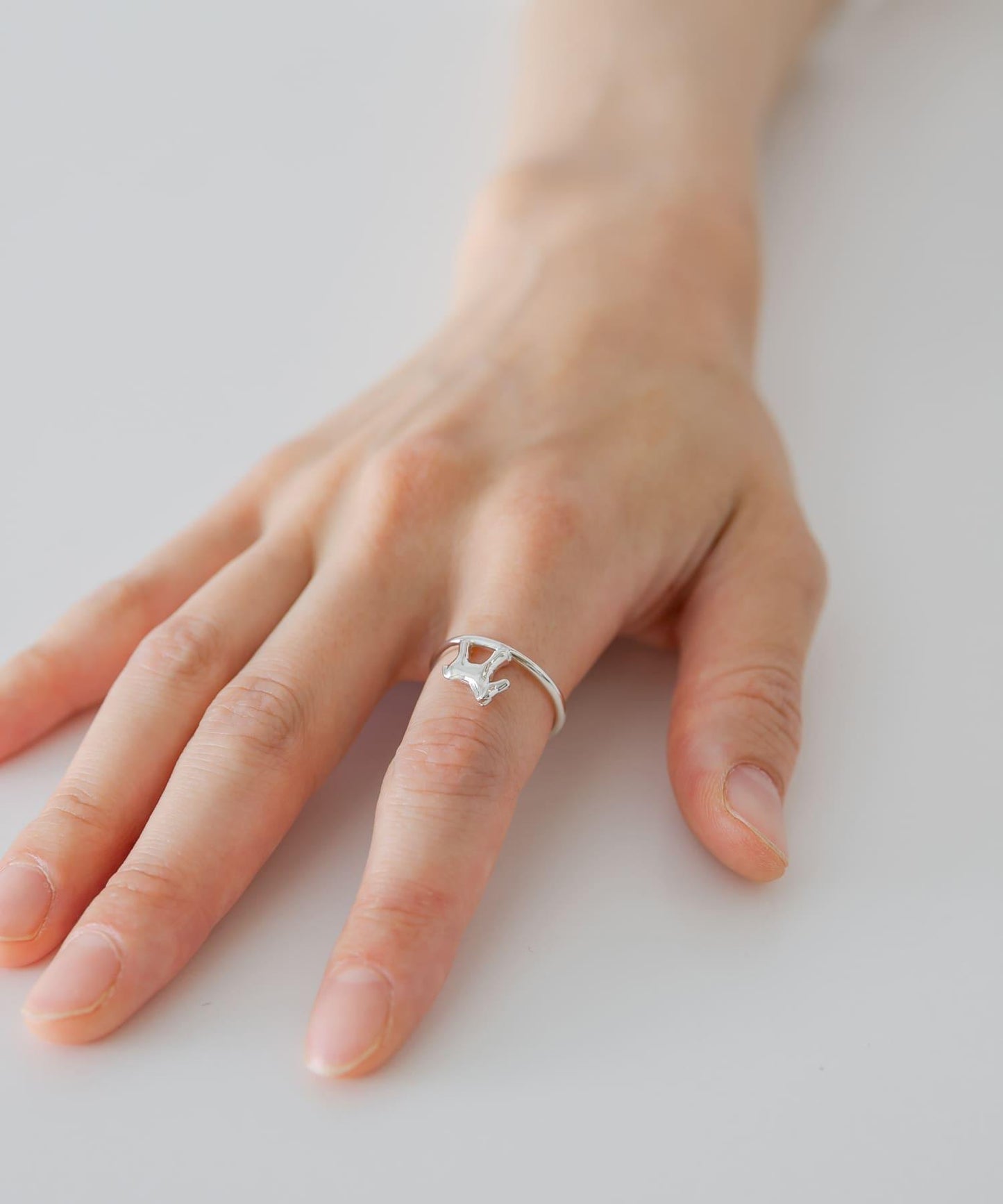 SYMPATHY OF SOUL STYLE LITTLE HORSE WALK RING
