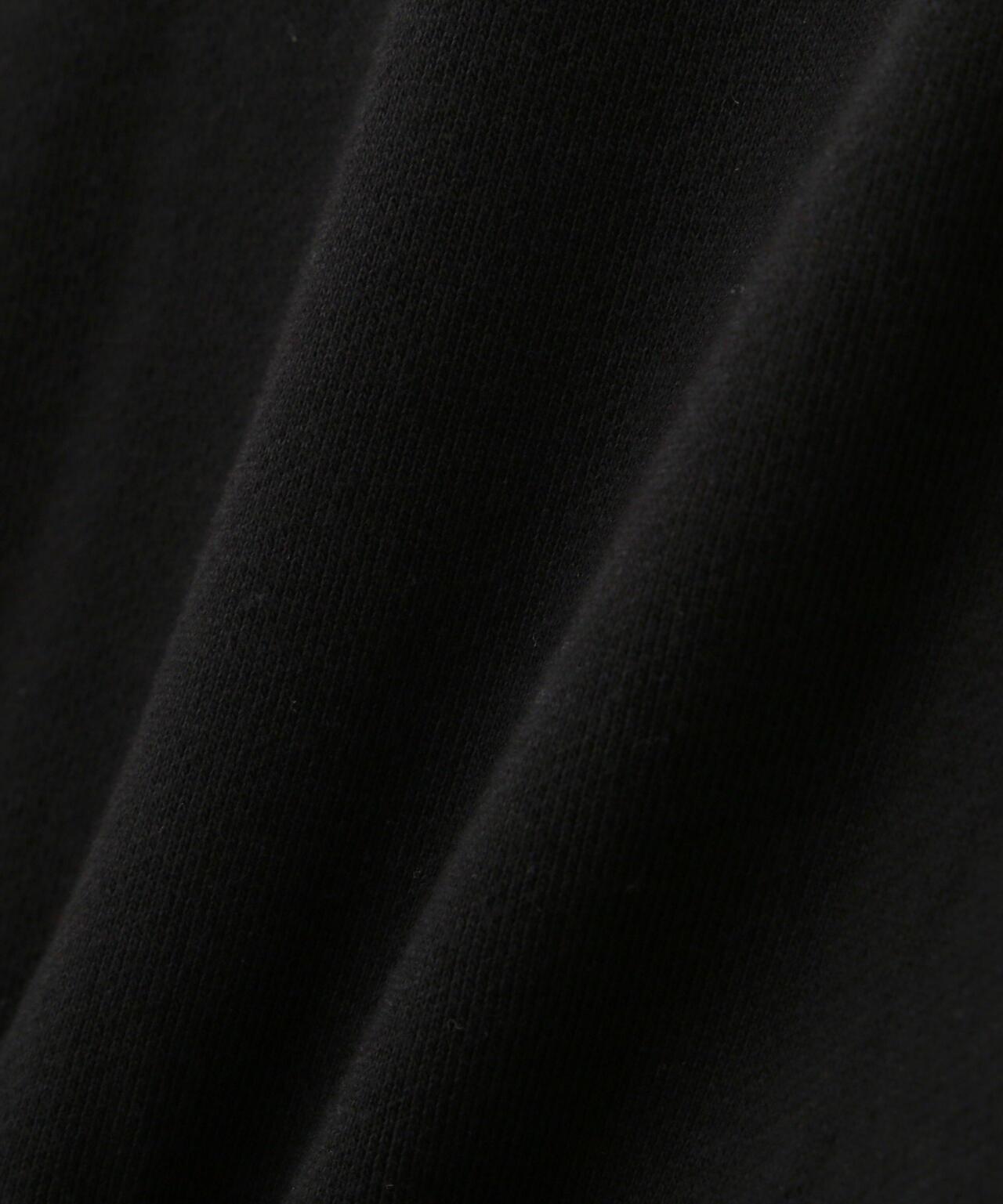 LONG SLEEVE ZIP PARKA DUST DEVILS