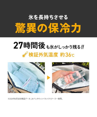 9 Pack 帆布 軟式保溫箱